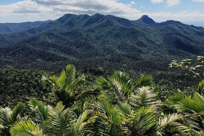 El Yunque Rainforest Waterslides and Luquillo Beach w/ Transport - Key highlights at a glance