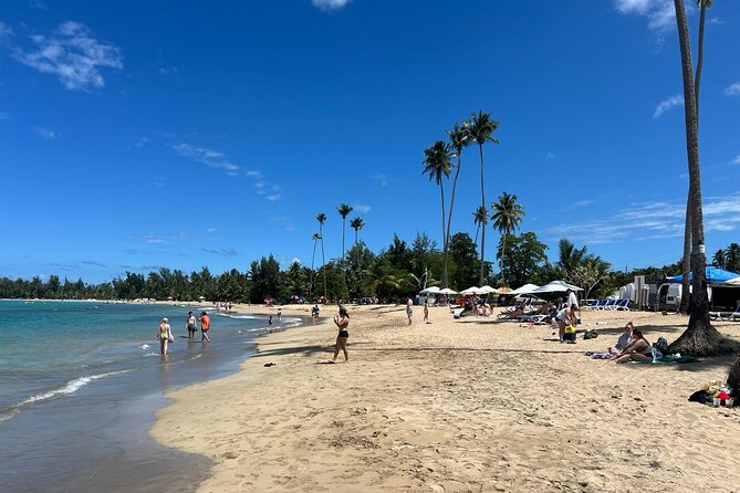 El Yunque Rainforest Waterslides and Luquillo Beach w/ Transport - Who this tour fits best, and who should reconsider