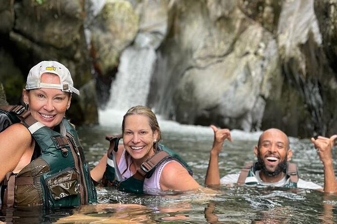 El Yunque Small Group Tour with Luquillo Lunch Stop and Transport - Key Highlights You’ll Feel Immediately