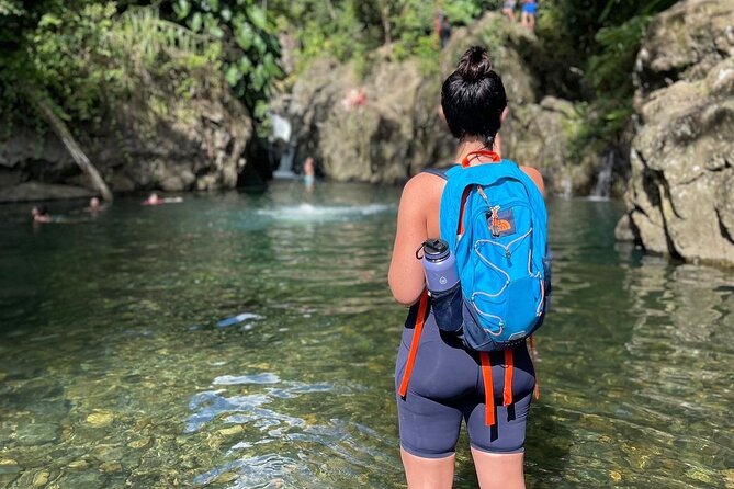El Yunque Small Group Tour with Luquillo Lunch Stop and Transport - Playa Luquillo After the Falls: Beach Reset and Kiosks Lunch on Your Terms