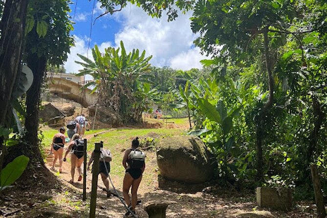 El Yunque Waterslide and Waterfall Tour with Food and Photos - Starting logistics in San Juan, and why it matters