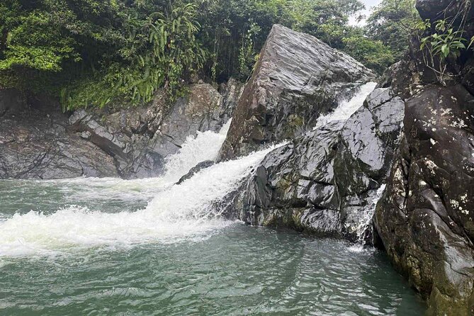 El Yunque Waterslides, Jumps, swing! small business owner:) - Key Highlights You Should Know