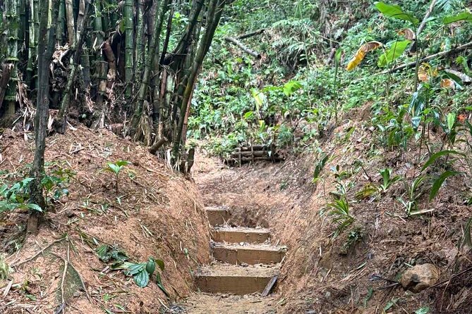El Yunque Waterslides, Jumps, swing! small business owner:) - Reaching the End: Two Pools for Waterslides, Jumps, and Rope Swing