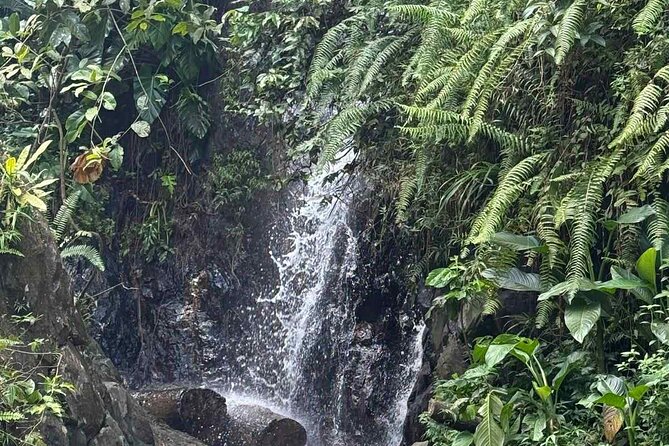El Yunque Waterslides, Jumps, swing! small business owner:) - Safety Setup: Life Jackets, Closed-Toe Shoes, and Common Sense