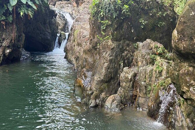 El Yunque Waterslides, Jumps, swing! small business owner:) - Price and Value: Is $40 a Good Deal for 4 Hours?