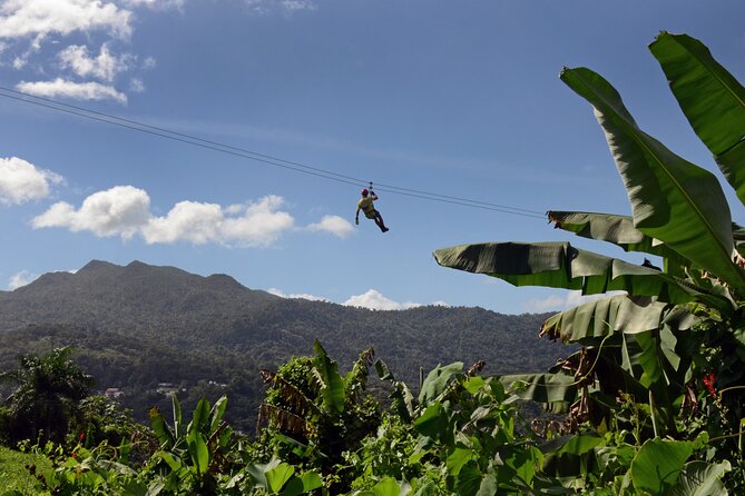 El Yunque Ziplining in Puerto Rico - Key highlights that matter before you book