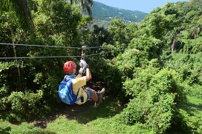 El Yunque Ziplining in Puerto Rico - Five ziplines, a canopy bridge, and an optional rock rappel