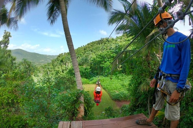 El Yunque Ziplining in Puerto Rico - The short rainforest hike: quick, useful, and worth the follow-through