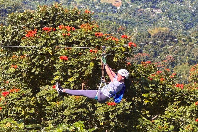 El Yunque Ziplining in Puerto Rico - Timing, weather, and who should book AM or PM