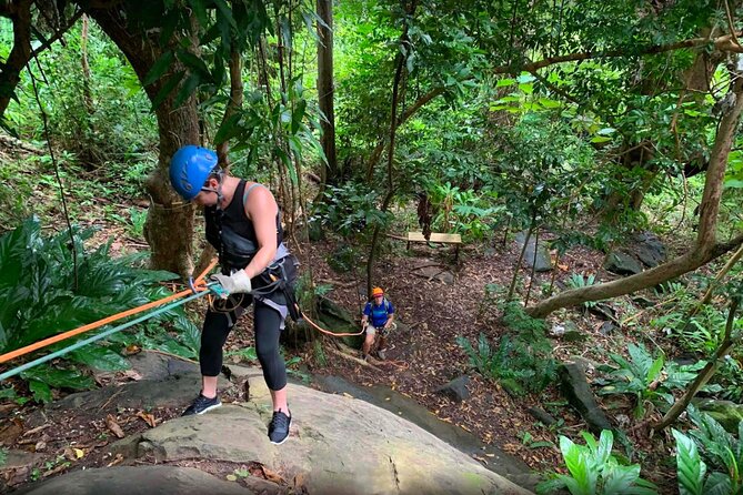 El Yunque Ziplining in Puerto Rico - Should you book El Yunque ziplining with Ecoquest Experiences & Tours?