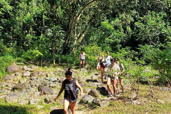 El Yunque Ziplining with River and Beach Visit - Junglequi Zipline Park: Gear Up, Then Fly for Real