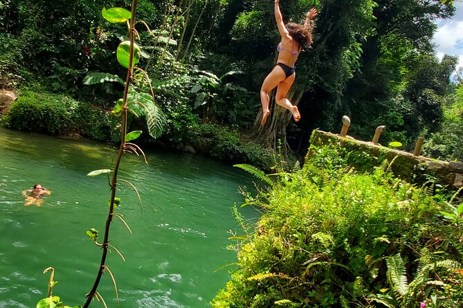 El Yunque Ziplining with River and Beach Visit - Who This Tour Suits Best (And Who Should Think Twice)