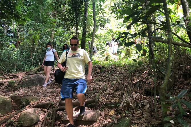 Epic Guided Adventure in El Yunque National Rainforest & Beach - Who this tour is best for, and who should skip it