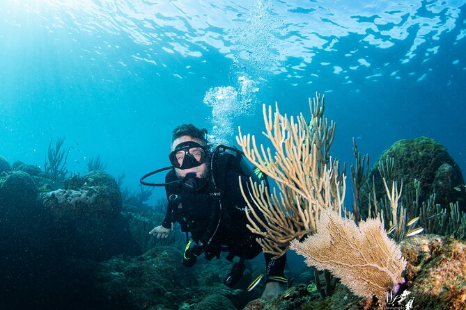 Experience Scuba - Key things I’d highlight before you go