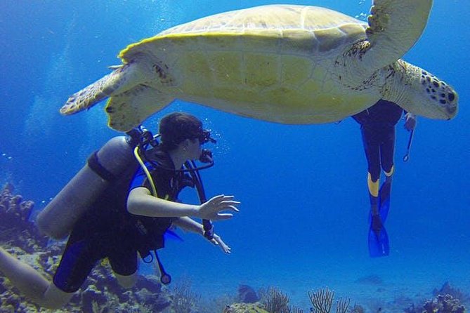 Experience Scuba Diving / NO certification Needed - Why This Rincón Reef Trial Works For Real Schedules