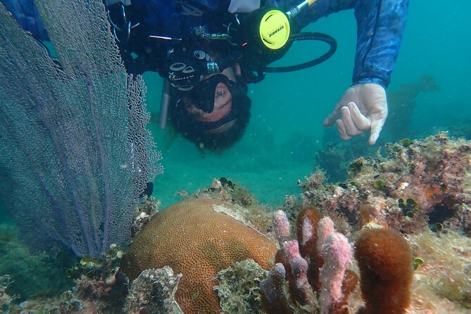 Experience Scuba Diving / NO certification Needed - What Happens On Land: Theory, Gear Fit, And Getting Comfortable