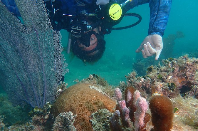Experience Scuba Diving / NO certification Needed - Gear Included, So You Can Travel Lighter