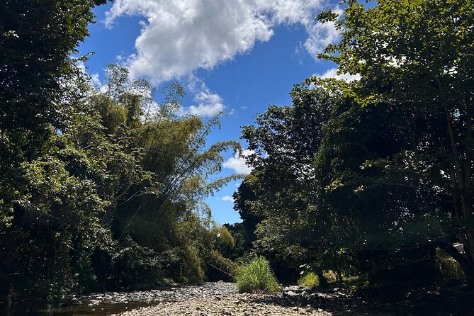 Explore El Yunque: Hiking, Swings & Waterslide (Small Group) - First Water Stop: Natural Pool Swimming, Rope Swings, and Cliff Jumps