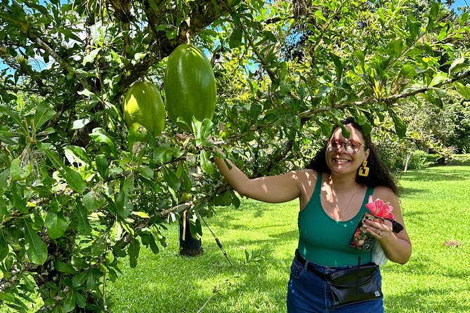 Explore Indigenous Roots, Experience a day in the life of a Taíno - Farm-to-table at the right pace, and why the meal adds value