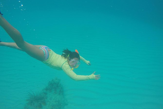 Fajardo Afternoon Snorkeling Adventure Tour - Safety and the crew: why this feels less like a gamble