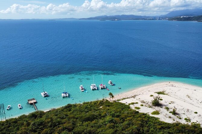 Fajardo Afternoon Snorkeling Adventure Tour - Real expectations: wildlife, currents, and seaweed happen