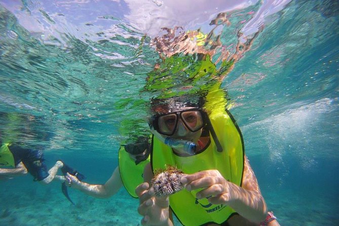 Fajardo Afternoon Snorkeling Adventure Tour - Price and logistics: what you pay, what you still need to budget