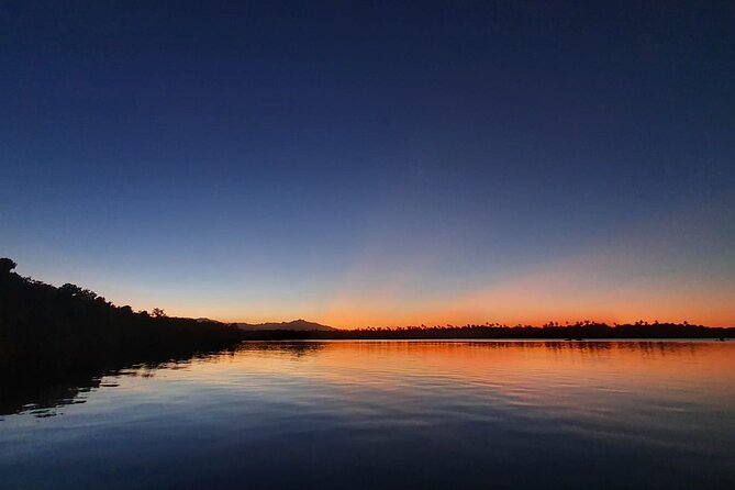 Fajardo Bioluminescent Bay Night Kayak Adventure from San Juan - Key Points I’d Use to Decide