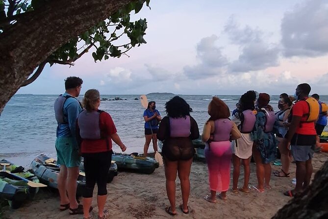 Fajardo Bioluminescent Bay Night Kayak Adventure from San Juan - Guides and Safety: Life Jackets, Swim Requirement, and Real-World Support