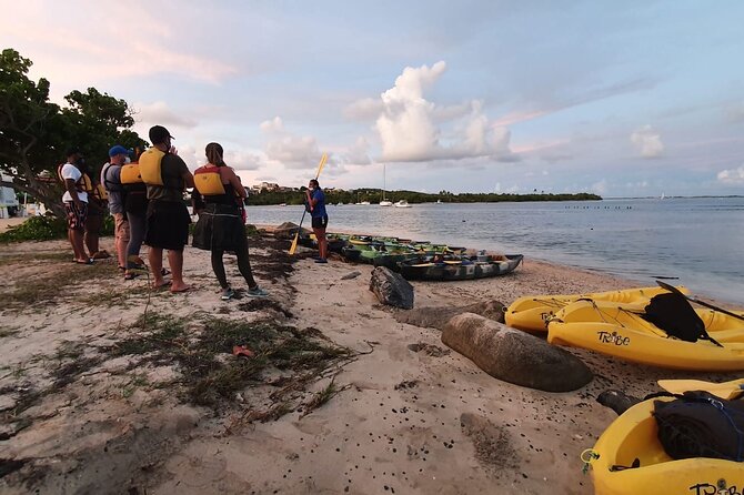 Fajardo Bioluminescent Bay Night Kayak Adventure from San Juan - Cost and Value: Is $109 Worth It for a Night Kayak?