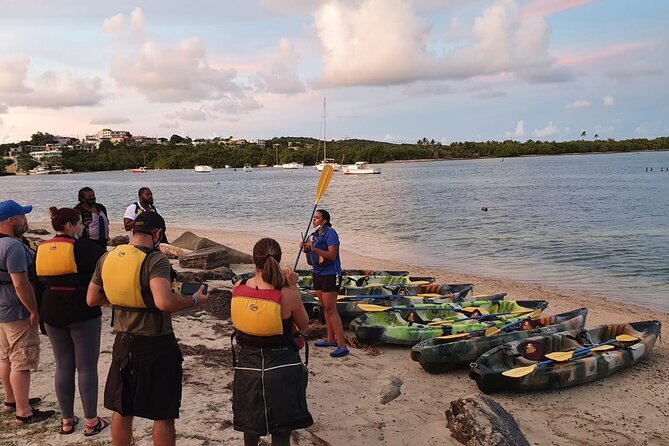 Fajardo Bioluminescent Bay Night Kayak Adventure from San Juan - The Kayak Route: Mangrove Channels, a Winding Water Trail, and Lots of Darkness