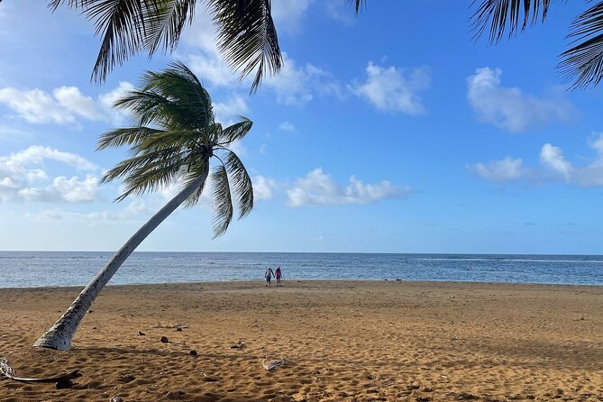 Fajardo Ceiba Ferry Marina Taxi to San Juan Taxi Transportation - The Eduardo Factor, When Your Driver Also Knows Great Day Plans