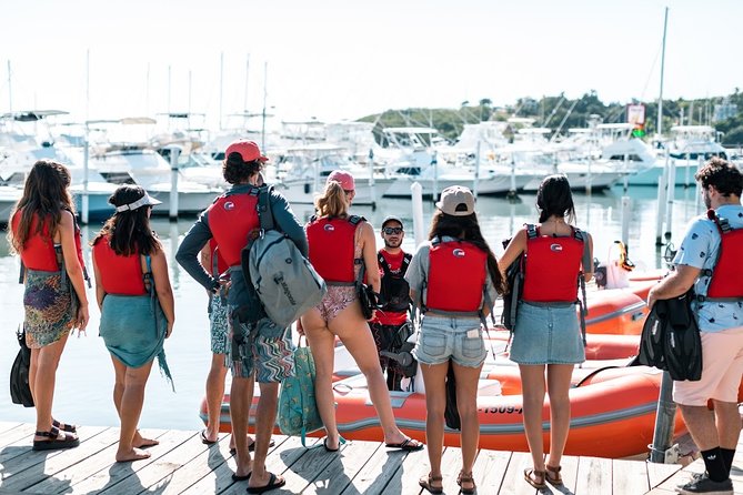 Fajardo Mini Boat Snorkel Safari - Price and Value: $250 per Boat, Up to 2 People