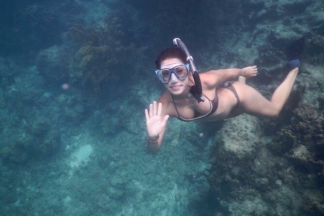Fajardo, Puerto Rico: Morning Snorkeling Beach Tour - Expect good wildlife, but plan for variable conditions