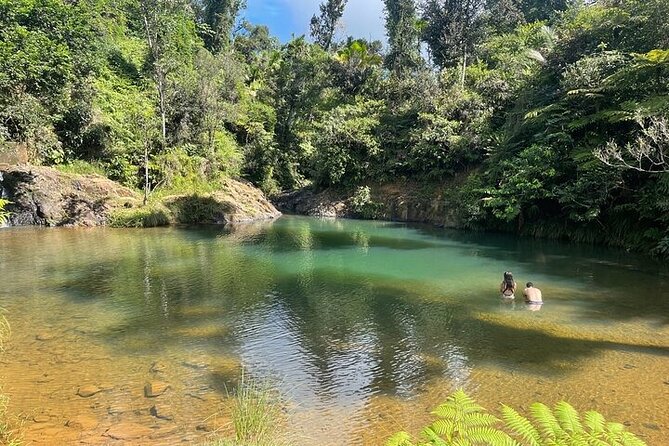 Famous Guavate Pork Road & Charco Azul Food & River Tour - Stop 2: Charco Azul Natural Pool, the Hike, and the Swim Reality