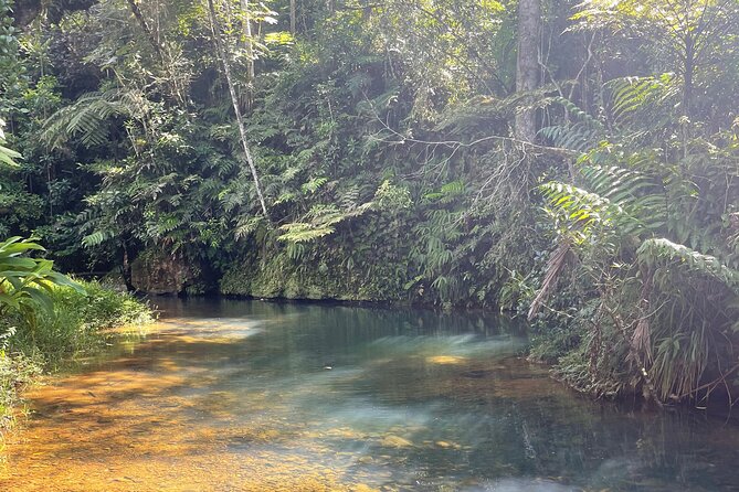 Famous Guavate Pork Road & Charco Azul Food & River Tour - Weather Dependence and How to Keep Expectations Steady