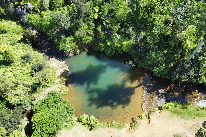 Famous Guavate Pork Road & Charco Azul Food & River Tour - The 6-Hour Flow, Pickup Spot, and Small-Group Reality