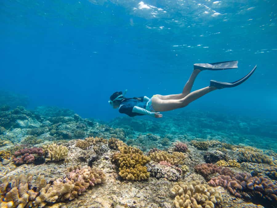 From Fajardo: Boat and Snorkeling in Culebra Island with All-Inclusive - Morning in Fajardo to Culebra, why this half-day works