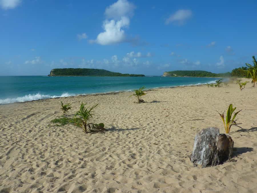 From Fajardo: Boat and Snorkeling in Culebra Island with All-Inclusive - Culebra beach break, walk time and white-sand reset