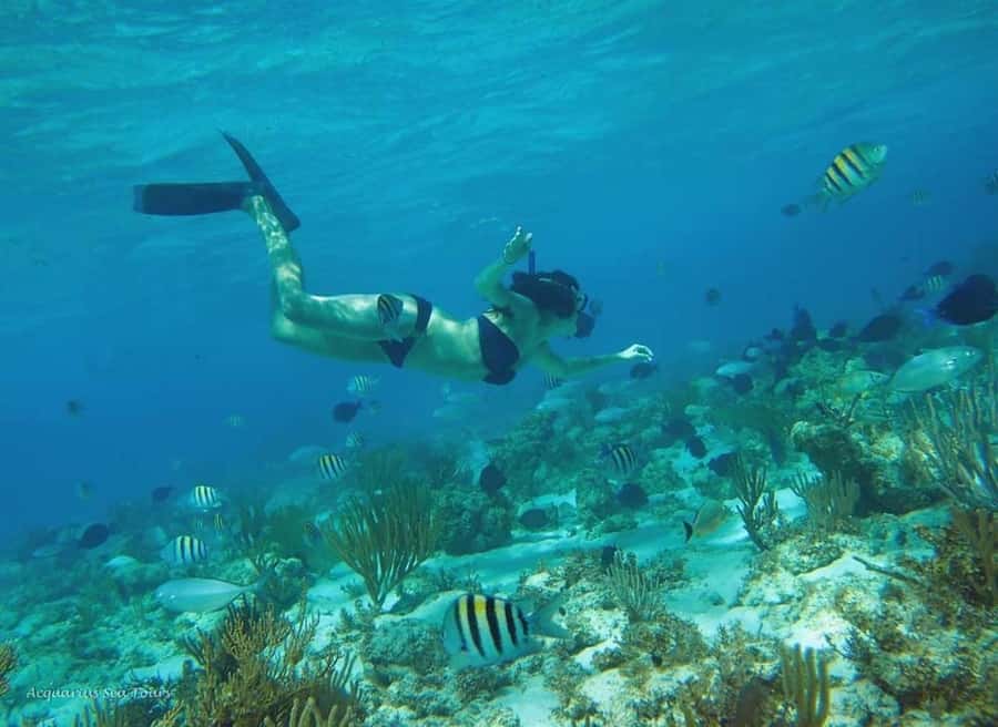 From Fajardo: Boat and Snorkeling in Culebra Island with All-Inclusive - Food and drinks, what all-inclusive really means on the water