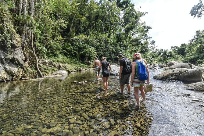 From San Juan: El Yunque Rainforest Hiking Adventure - The 8-hour plan in plain English (and what you’ll actually do)