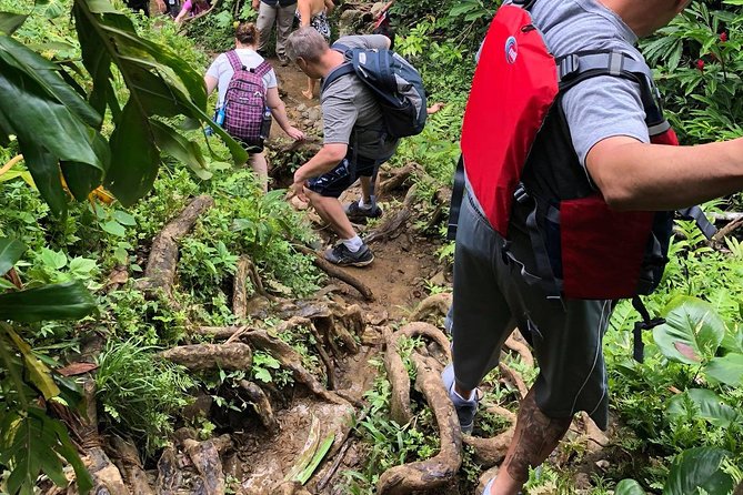From San Juan: El Yunque Rainforest Hiking Adventure - Guides and safety: what “fun” looks like with real guardrails