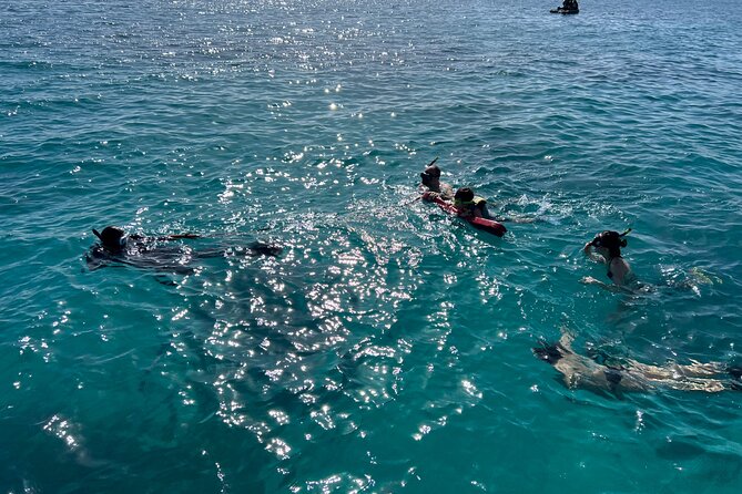 Full Charter All Inclusive for Icacos and Palomino - What you actually get on board: drinks, snacks, comfort, and basic necessities