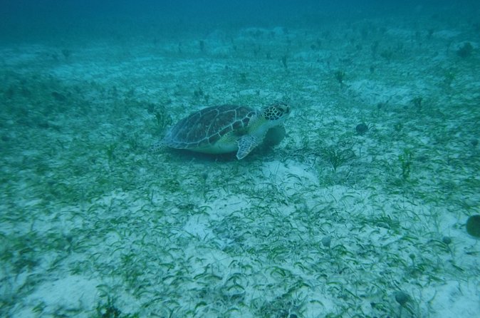 Full Day Charter from Fajardo to Culebra - Lunch, drinks, and the half-day comfort plan