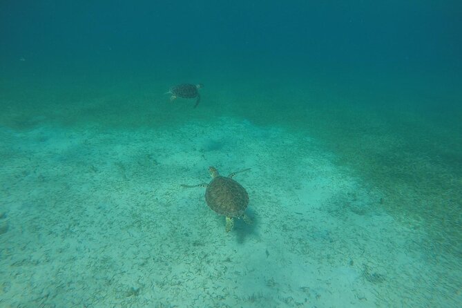 Full Day Charter from Fajardo to Culebra - Price and value for a group of up to 6