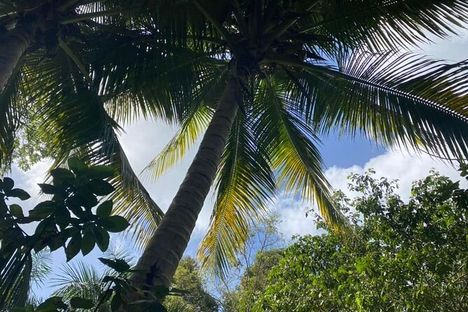 Full Day Eastern Island Tour - Stop 4: Loíza, a Quick Culture Hit With Afro-Puerto Rican Energy