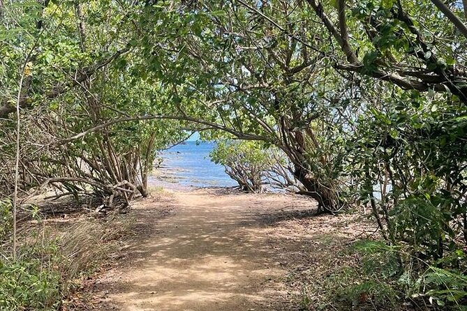 Full Day Eastern Island Tour - Stop 1: Las Croabas, the 45-Minute Wilderness Hike to a Hidden Beach