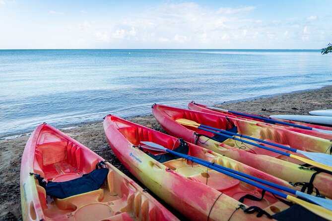 Full-Day Kayak Adventure – Explore Fajardo’s Crystal-Clear Waters - What you’re really doing out on the water