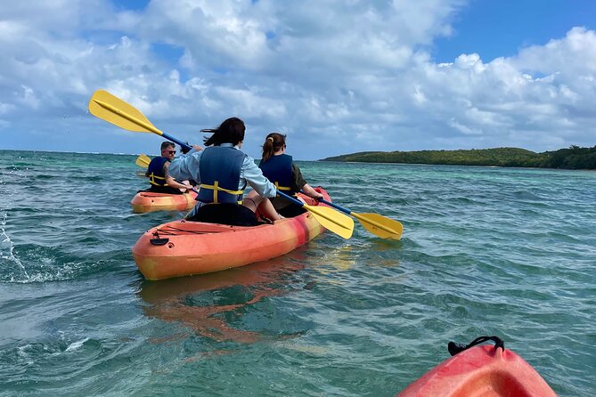 Full-Day Kayak Adventure – Explore Fajardo’s Crystal-Clear Waters - Price and value: is $80 per group a fair deal?
