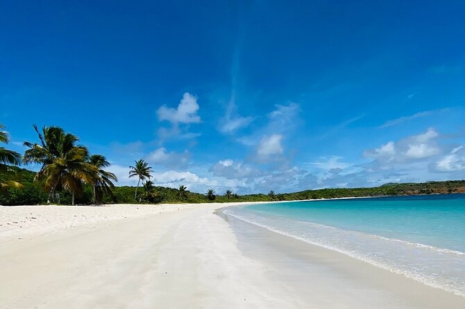 Full Day Private Boat Tour To Culebra - The Captain and Crew Experience: Service That Keeps the Day Easy
