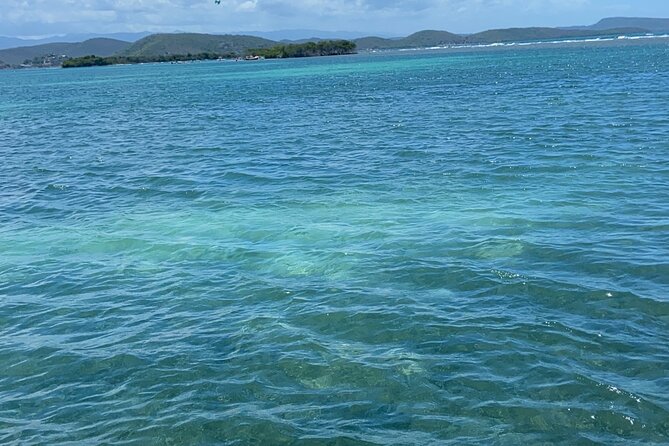 Full-Day Private Cruise in Cayo Caracoles - Key highlights for Cayo Caracoles in a private boat